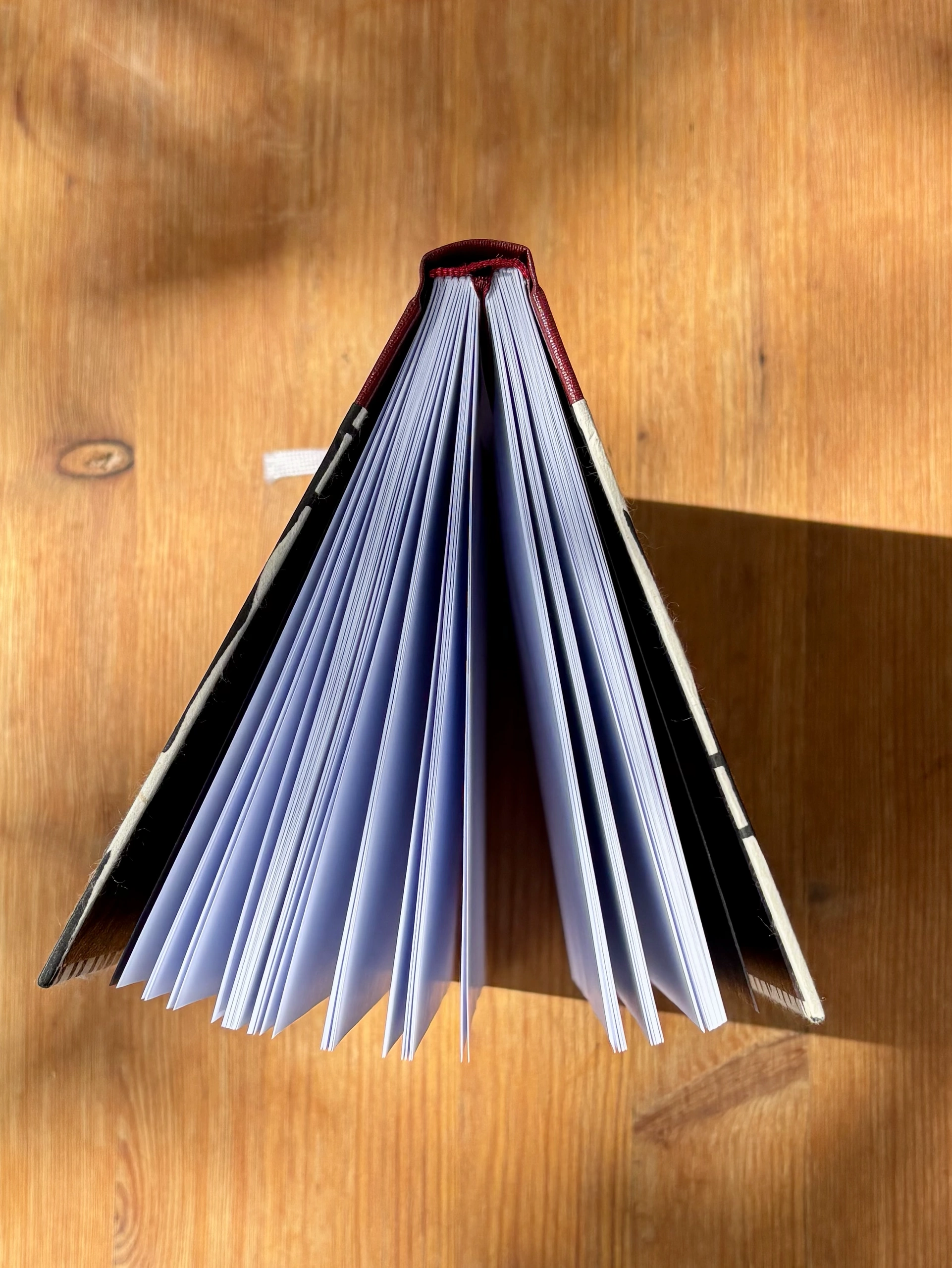 Arbeit aus dem Portfolio von Milla Knüpling